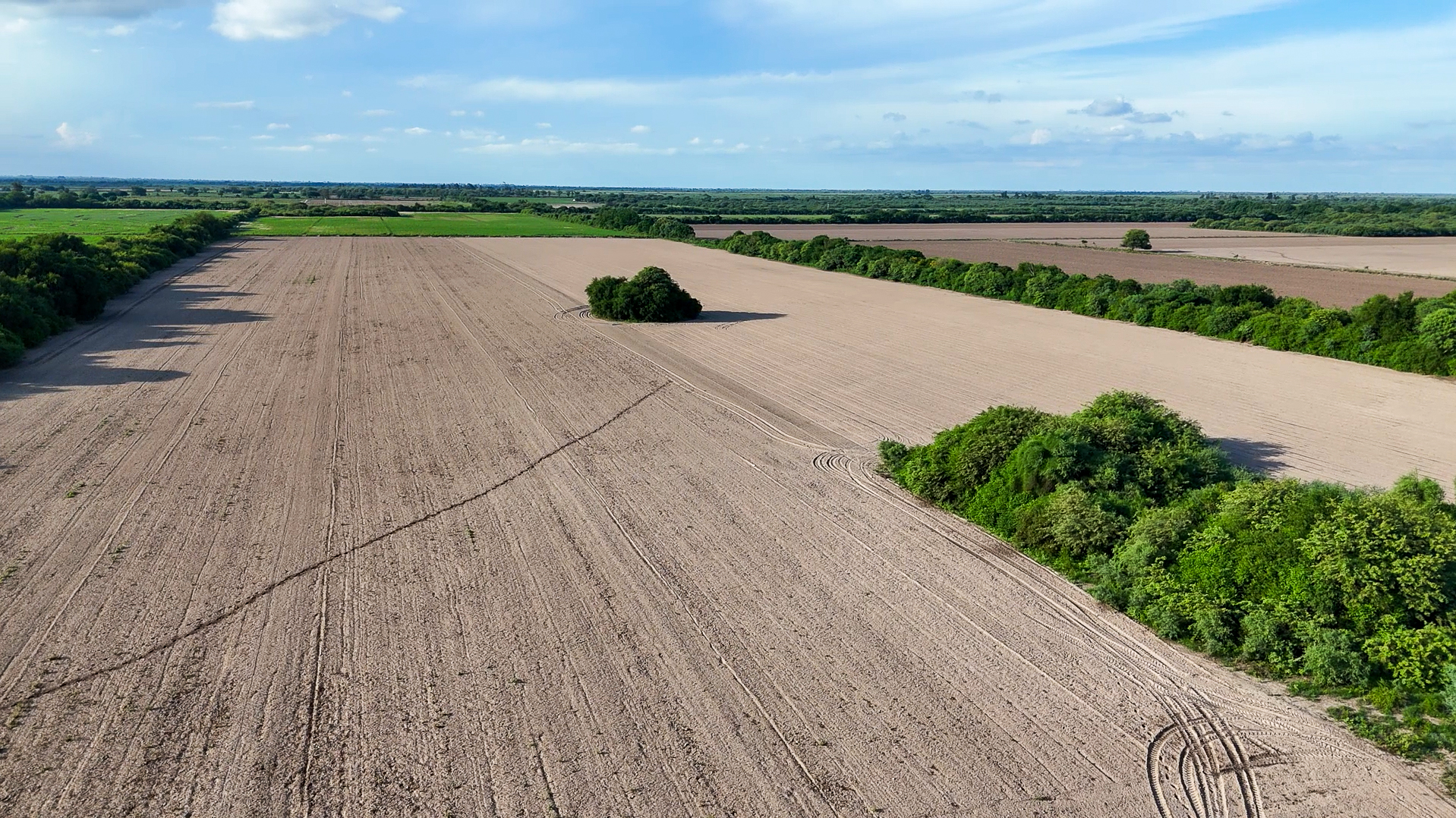 Campo Arado